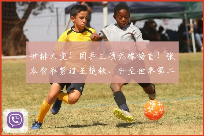 世排大变！国乒三项无缘榜首！张本智和紧追王楚钦、升至世界第二